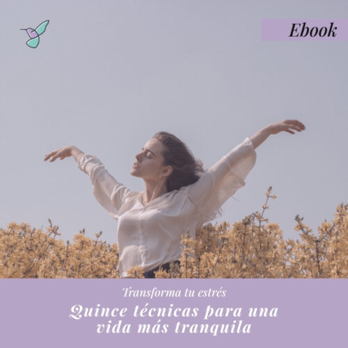 Ebook: Transforma Tu Estrés