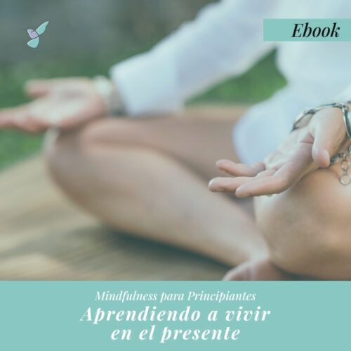 E-book: Mindfullness para Principiantes